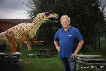 Waarom er een dino te koop staat in Kinrooi (en voor een prijsje kan hij de uwe zijn) - Het Belang van Limburg