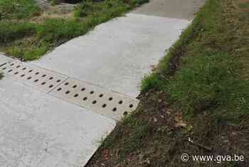 Recent aangelegde ecotunnels zitten vol zand en zijn niet bruikbaar door de beestjes - Gazet van Antwerpen