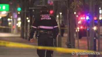 Police investigate series of violent attacks in downtown Calgary | Watch News Videos Online - Globalnews.ca