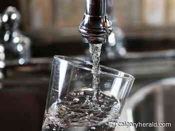 Calgary fluoride vote could affect residents in nearby municipalities who don't get a ballot - Calgary Herald