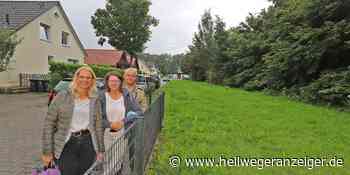 HA+ Öko Siedlung auf Fröndenberger Hirschberg fürchtet um Wald und Sickerfläche - Hellweger Anzeiger
