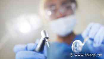 Angst-Management an der Uni Leipzig: »Zahnarztkinder wissen nicht, wie es sich anfühlt, wenn gebohrt wird« - DER SPIEGEL