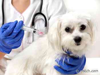 Gloucester Township Rabies Clinic Set For Saturday - Patch.com