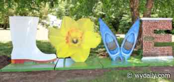 Gloucester Daffodil Festival to Fully Return in 2022 - WYDaily