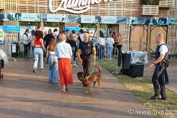 Vlekkeloze editie Crammerock (Stekene) - Gazet van Antwerpen Mobile - Gazet van Antwerpen