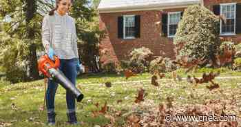 How to use your leaf blower every season of the year     - CNET