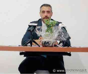 Sora, niente intesa coi candidati: il centrodestra non sceglie - ciociariaoggi.it