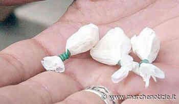 Polizia, operazione anti droga nella provincia di Fermo - Marche Notizie