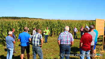 Traunstein: Feldtag für Landwirte im roten Gebiet - chiemgau24.de