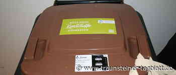 3,2 Millionen Euro im Jahr für die Biotonne - Traunsteiner Tagblatt