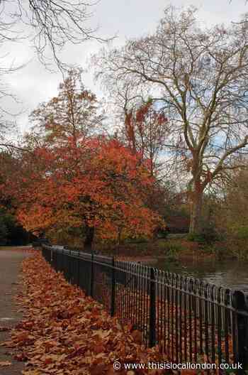 Best places to see autumn colours in south London 2021