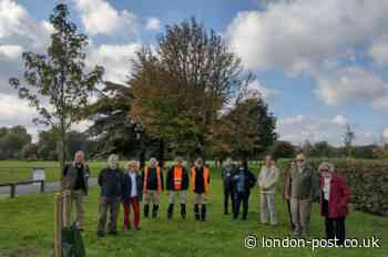 Parks in Sutton earn gold status at London in Bloom awards - London Post