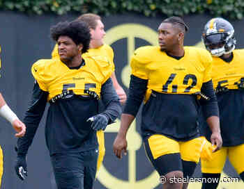 Steelers Injury Updates: CB Cam Sutton, ILB Devin Bush Practiced in Full Wednesday - Steelers Now