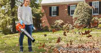 How to use your leaf blower every season of the year     - CNET