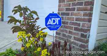 ADT vs. Vivint: Which professional home security system is better?     - CNET