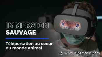 "Une immersion sauvage": voyagez dans la jungle, la forêt ou le fond des océans depuis le parc Phoenix