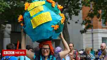 Lords return Environment Bill to the Commons with big changes