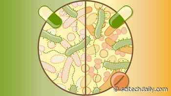 Tackling the Collateral Damage to Our Health From Antibiotics