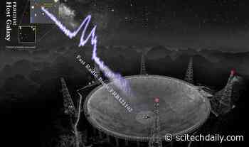 Origin Unknown: Over a Thousand Powerful Cosmic Explosions Detected by FAST Telescope in 47 Days
