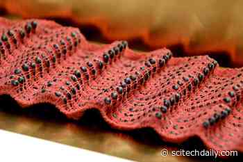 “Robotic” OmniFibers: New Fibers Can Make Breath-Regulating Garments