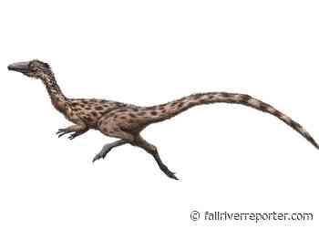 House gives roar of approval to state dinosaur bill - Fall River Reporter