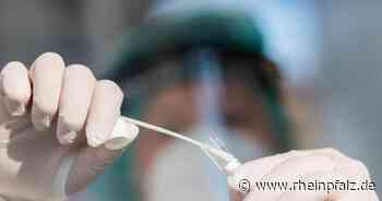 Inzidenz wieder über 70 - Kinderärzte fordern Impfung - Coronavirus - Rheinpfalz.de