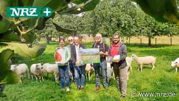 Kalkar: Kulturwochenende unter Apfelbäumen - nrz.de - NRZ