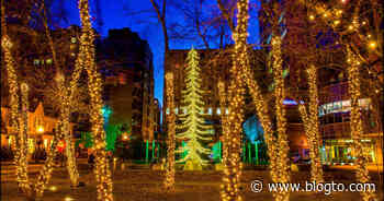 Toronto is getting a free concert and tree lighting ceremony to celebrate the winter holidays - blogTO
