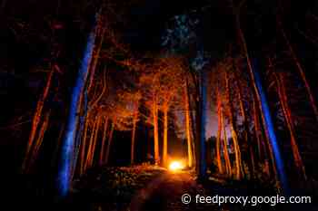 How Halloween Sprang From an Ancient Pagan Festival