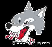 Sudbury Wolves on the losing side of a close 5 to 4 game while visiting Kingston Frontenacs Friday night