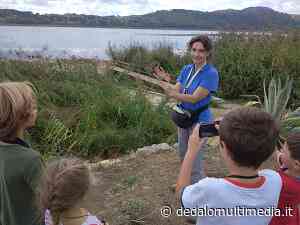 Enna - Attività di inanellamento dei volatili a Pergusa - dedalomultimedia.it