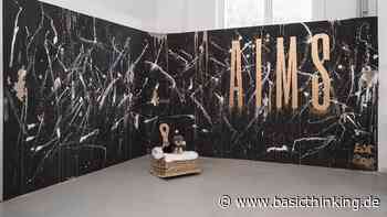 AIMS Management: So arbeiten die Spezialisten für Ethno-Marketing - Basic Thinking