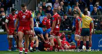 Leinster 50-15 Scarlets: Dwayne Peel's side overpowered at the RDS as they endure second thrashing in six days