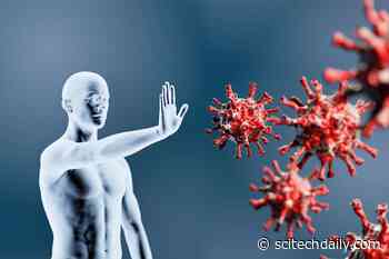 Cross-Protective COVID Immunity: One Coronavirus Vaccine Can Provide Broad Immunity Against Other Coronaviruses - SciTechDaily