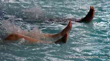 Il pète trop près de son voisin et déclenche une bagarre générale dans un spa