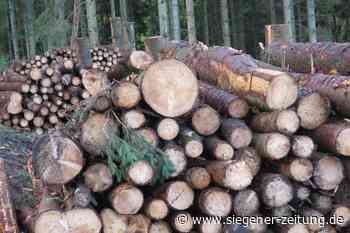 Parkhaus aus Holz?: Bad Berleburg will Bauwerk mit Pilotcharakter schaffen - Bad Berleburg - Siegener Zeitung