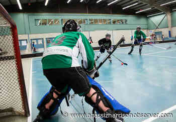 Chilliwack's Green Light Inline Hockey League raising funds for Cyrus Centre – Agassiz Harrison Observer - Agassiz Harrison Observer
