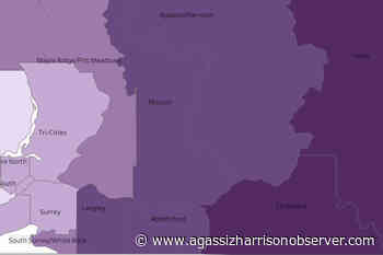 BCCDC: Chilliwack remains COVID hotspot in eastern Fraser Valley – Agassiz Harrison Observer - Agassiz Harrison Observer