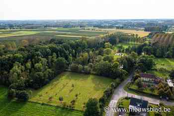 Burgemeester Els Robeyns wil Wellenaren bevragen over fusie - Het Nieuwsblad
