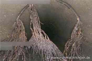 49 Prozent an private Firma: Gemeinde Ascheberg gründet Abwassergesellschaft - Ruhr Nachrichten