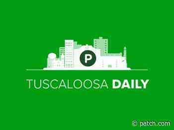 🌱Kentuck Arts Fest + Guide To Starkville + High School Scores - Patch.com