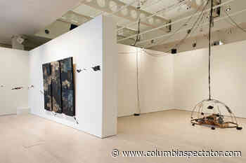 Columbia's 2021 visual arts class presents culminating Thesis Exhibition - Columbia Spectator - CU Columbia Spectator