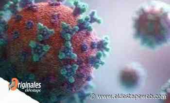 Coronavirus en Argentina: más del 37% de las muestras del AMBA ya corresponden a la variante Delta - El Destape
