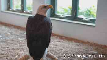 National Eagle Center in Wabasha prepares for $27M expansion