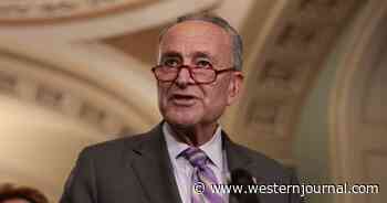GOP Must Stop Schumer's New Bill Before It Makes the Federal Government Too Powerful