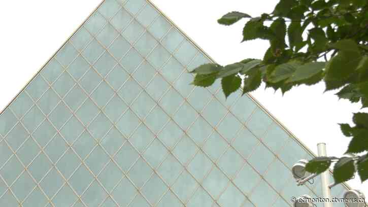 'Troubling data': Report shows negative experiences women have while running for office in Alberta