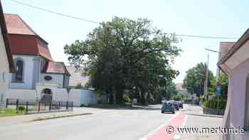 Ortsumgehung für Memminger Ortsteil Steinheim - Merkur.de