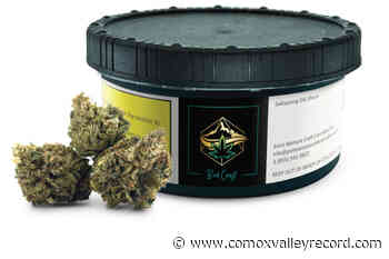 Health Canada recalls BC cannabis product due to powdery mildew contamination – Comox Valley Record - Comox Valley Record