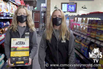 How to build a better dog food bowl! - Comox Valley Record