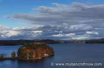 Bancroft-Minden Forest Management Plan to undergo final public consultation - mybancroftnow.com